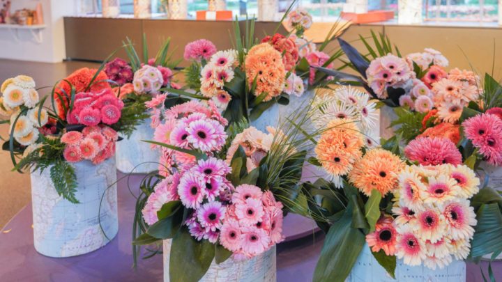 Bloemenshow: gerbera's, lisianthus en calla's