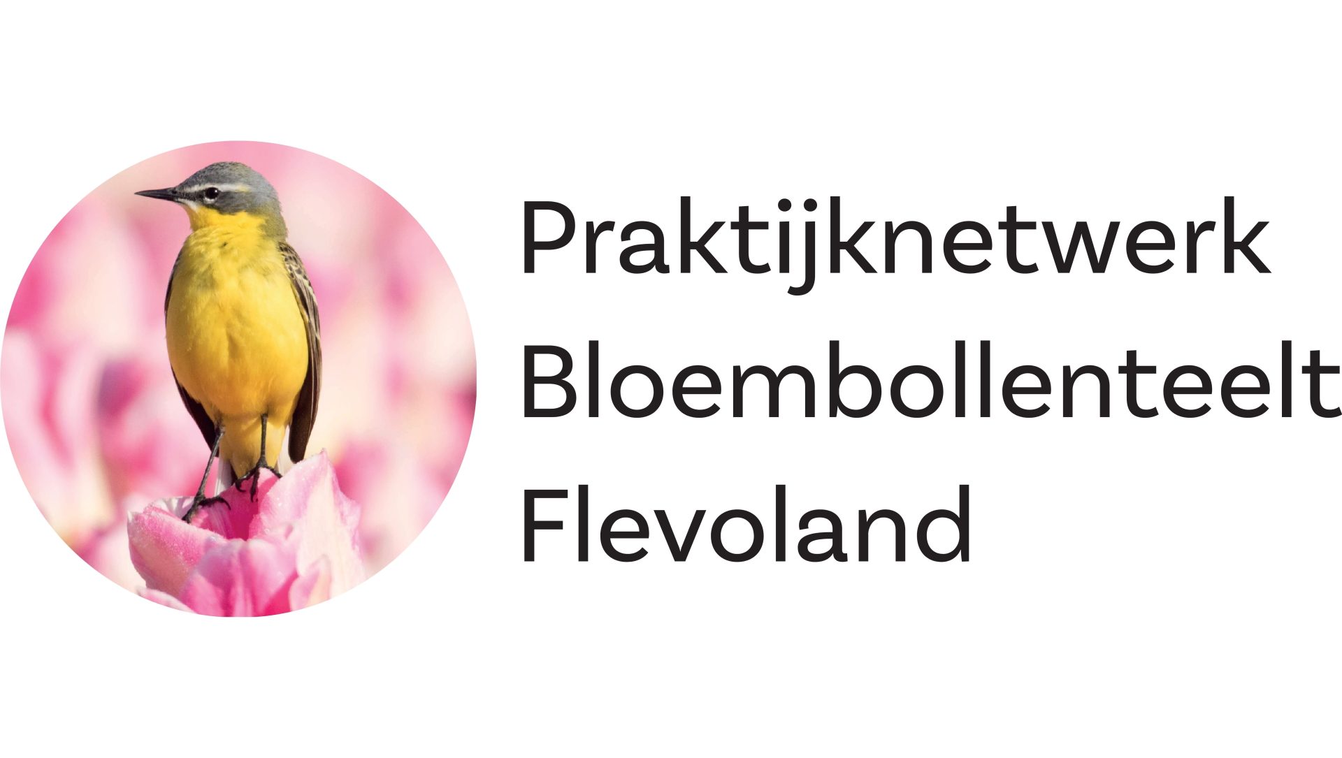 logo Praktijknetwerk Bloembollenteelt Flevoland. Een gele vogel op een roze bloem en tekst ernaast.